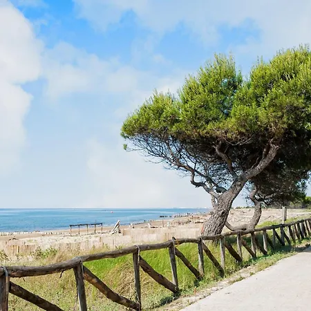 Comfortable Vacation Retreat In A Area * Μπιμπιόνε